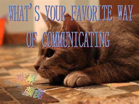 Communicative 的图像结果