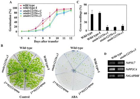 CRISPR/Cas9 Gene Editing of NtAITRs, a Family of Transcription ...
