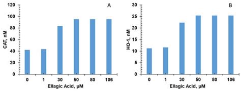 Attenuation of Aging-Related Oxidative Stress Pathways by ...