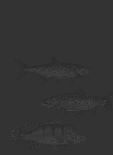 Simple Shrimp Fly Patterns 的图像结果