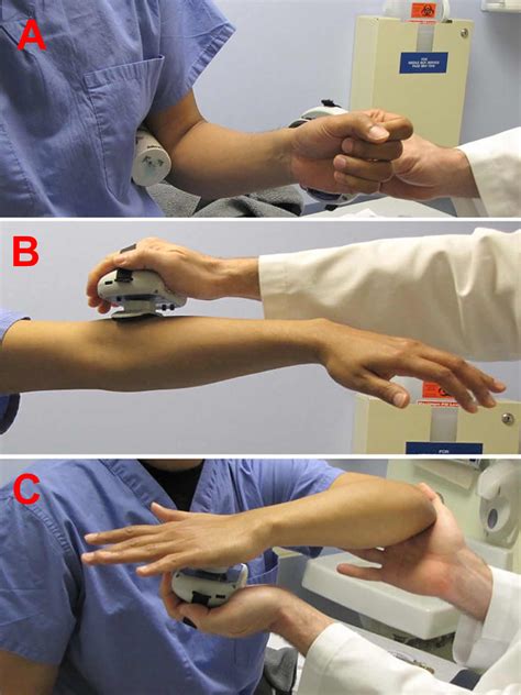 Rotator Cuff Muscles Test 的图像结果