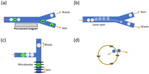 Micromachines | Special Issue : Microfluidic System for Biochemical ...