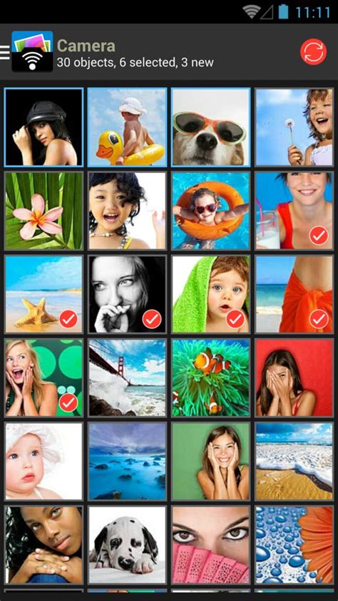 Export Pics 的图像结果