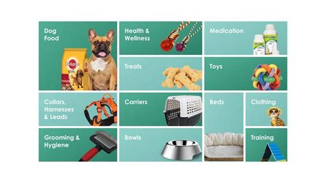 UI Cards for a PET SUPPLIES STORE | Freelancer