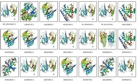 Fig. 2: Protein data bank structure of different SOD types in selected ...