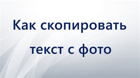 Как скопировать текст с фото | Интернет и программы для всех | Дзен
