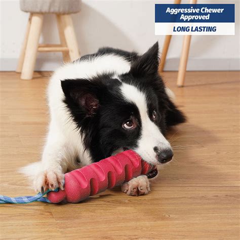 Buy the Ultimate Chew Stick Dog Toy - Interactive Chew Toy for Dogs ...
