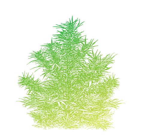 Marijuana Leaf Clipart Illustrations, Royalty-Free Vector Graphics ...