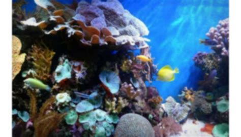 Mumbai Initiates Night Food Fairs And Plans State-Of-The-Art ...