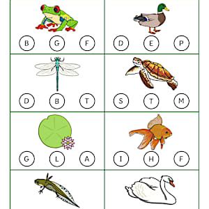 Pond Beginning Sounds Worksheet for PreK-K