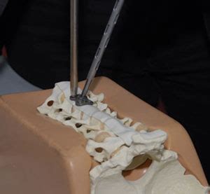 Neurosurgery Education And Training School