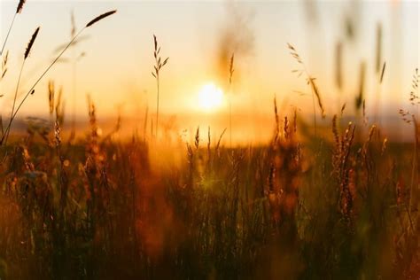 Eckersell Funeral Home | Rigby, ID