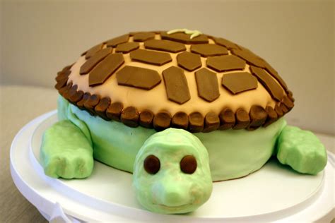 Birthday Cake Using Python Turtle 的图像结果