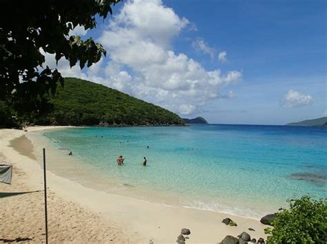 Great experience!! - Reviews, Photos - Coki Dive Center - Tripadvisor