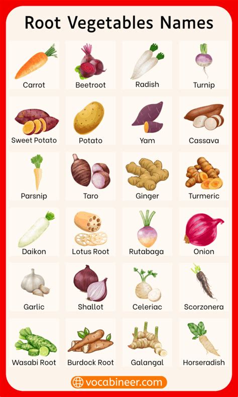 Root.food Names 的图像结果