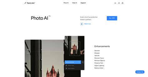 Topaz AI Tutorial 的图像结果