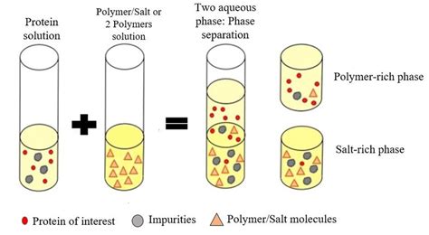 Image result for Aqueous Two-phase System Applications