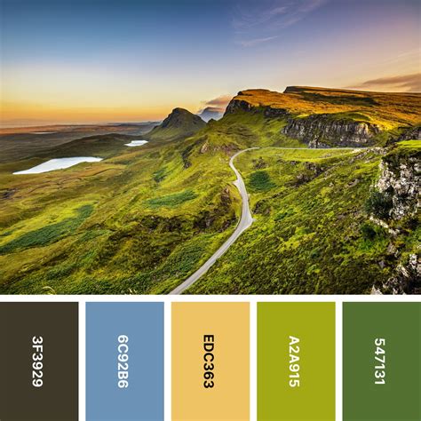 Nature Color 的图像结果