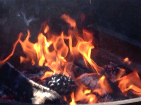 OH RIDGE CAMPGROUND (June Lake) - Campground Reviews & Photos - Tripadvisor