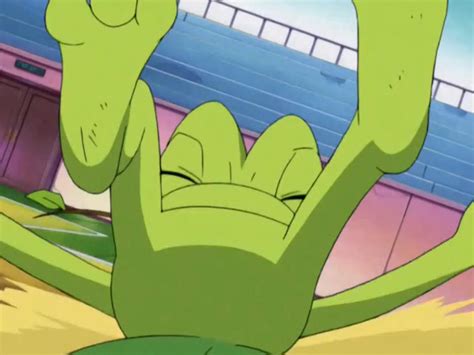 Image result for Treecko Evolution GBA Pokemon