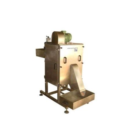 (500 Kg/hour) Raw Mango Cube Cutting Machine Manufacturer, Exporter ...