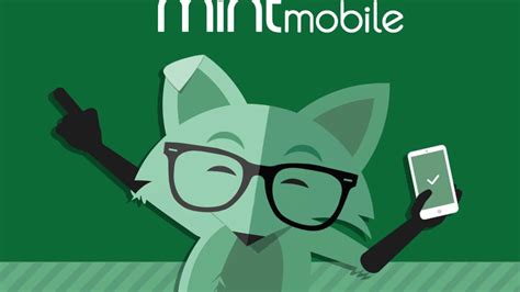 Mint Tutorial 的图像结果