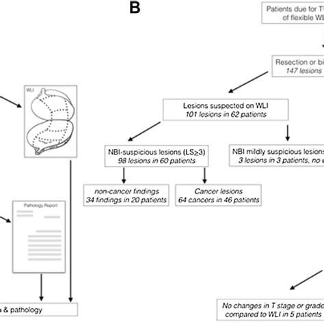 Matched Pairs Study Relative Risk Calculation Tutorial 的图像结果