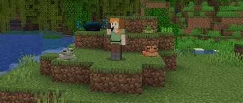 Image result for How to Get On Version 1.19 Minecraft Java