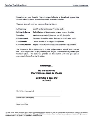 Fillable Online Detailed Cash Flow Data Profiles Professional This form ...