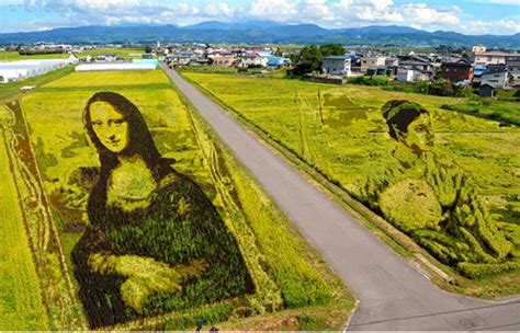 Reisfelder in Aomori verwandeln sich in berühmte Gemälde