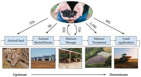 Can Biochar Improve the Sustainability of Animal Production?