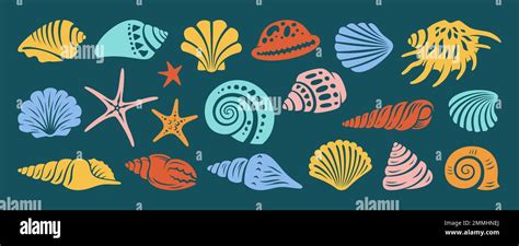 Shell 的图像结果