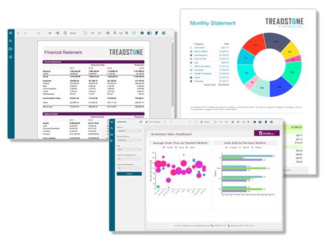 Active Report Viewer 的图像结果