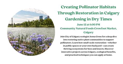 Creating Pollinator Habitats Through Restoration in Calgary, Community ...