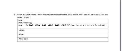 Image result for Complementary mRNA Strand