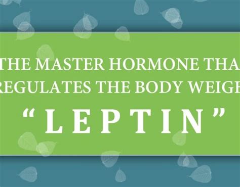 The “MASTER HORMONE” that Regulates the body weight: LEPTIN – Yogveda ...