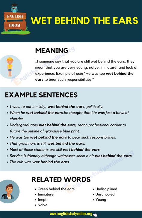 Wet Behind the Ears: What Does This Interesting Idiom Mean? - English ...