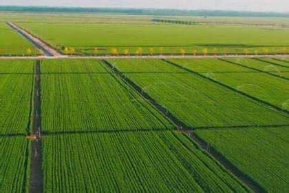 农田 的图像结果