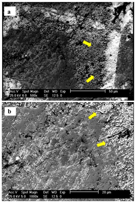Evaluation of the Aging Effect on the Microstructure of Co-28Cr-6Mo-0 ...