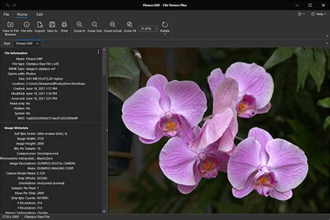 Image result for ORF File