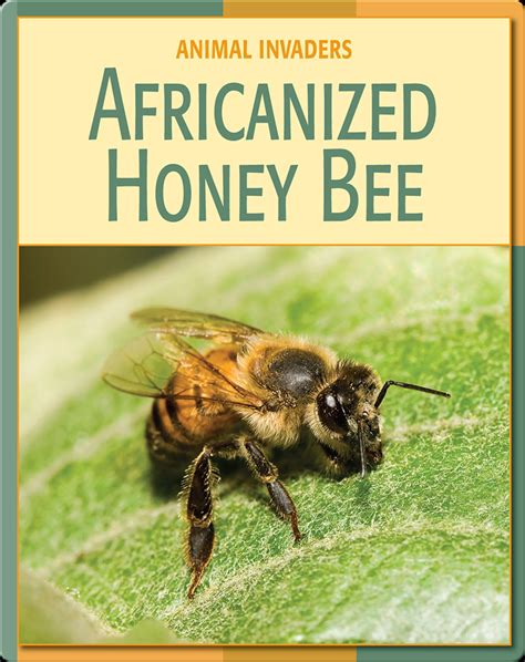 Animal Invaders: Africanized Honey Bee Book by | Epic