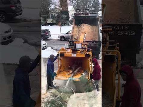 Image result for TreeChopper