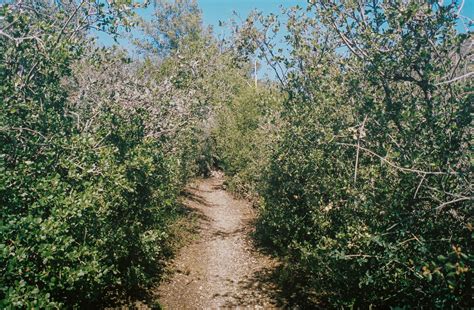 Dark Canyon Trailhead to Mount Pickens | Modern Hiker