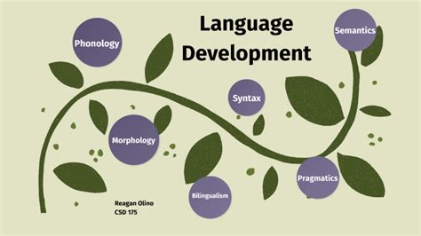Concept Map On Language 的图像结果