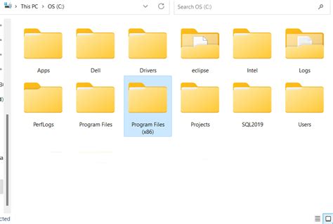 Program Files 86X 的图像结果