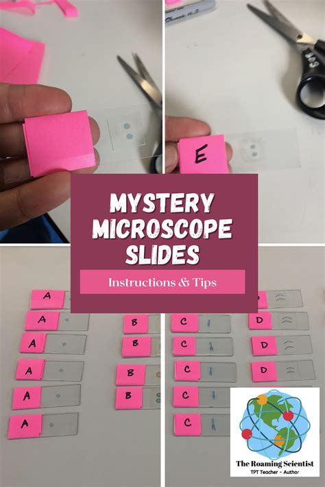 Cheek Cell Experiment Method 的图像结果