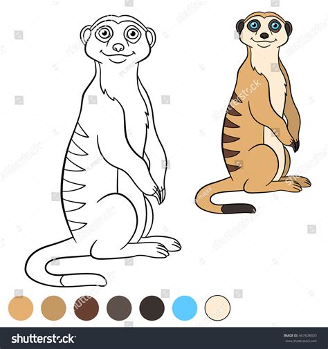 Simple Meerkat Drawing