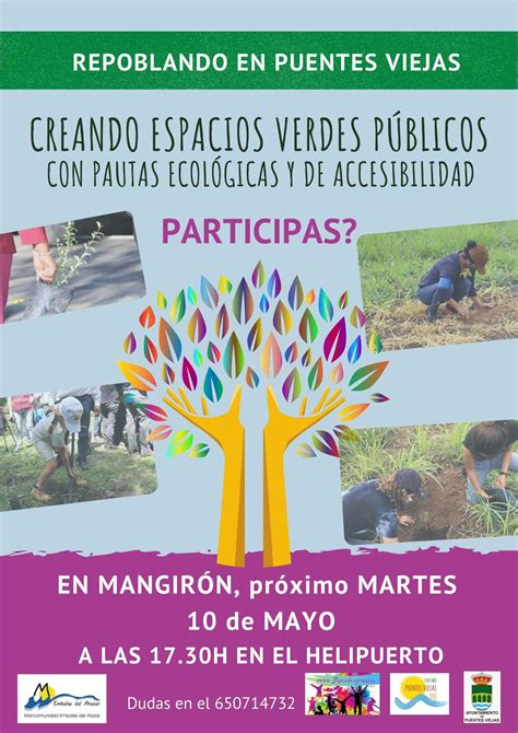 REPOBLANDO EN PUENTES VIEJAS