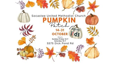 Pumpkin Patch @ SUMC, Socastee United Methodist Church, Myrtle Beach ...