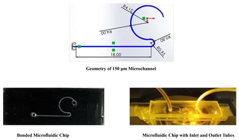 Experimental Study on Multi-Cell Counting Using an Inertial ...